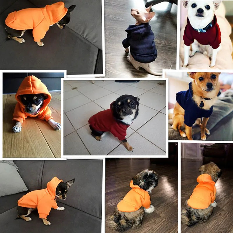 Pet  Clothes