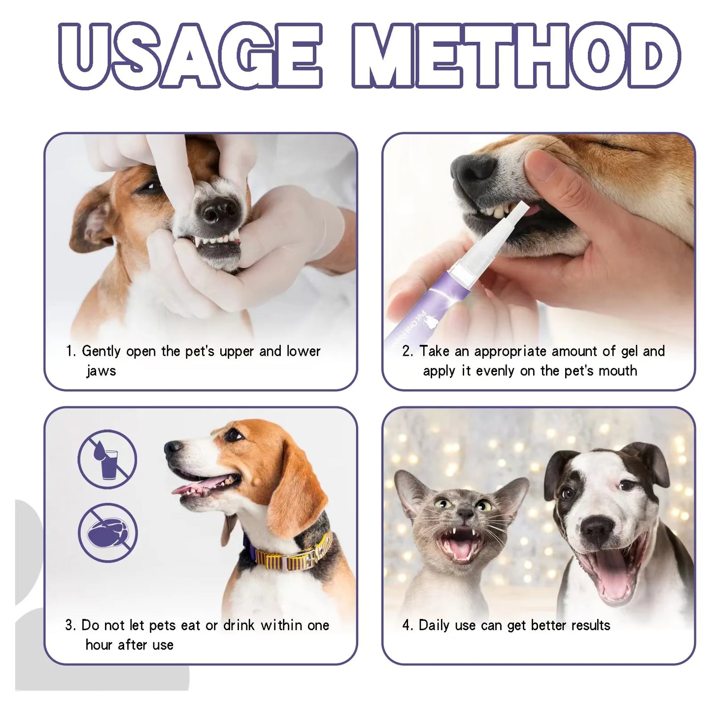 Pet teeth cleaning Tooth