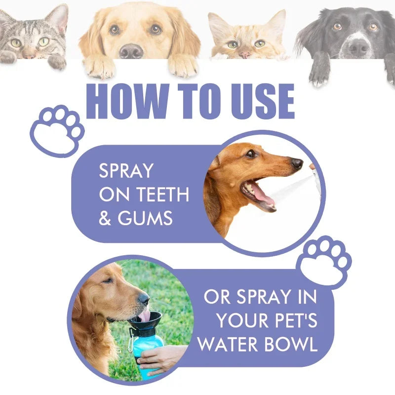 pets teeth cleaning spray to remove tooth stains