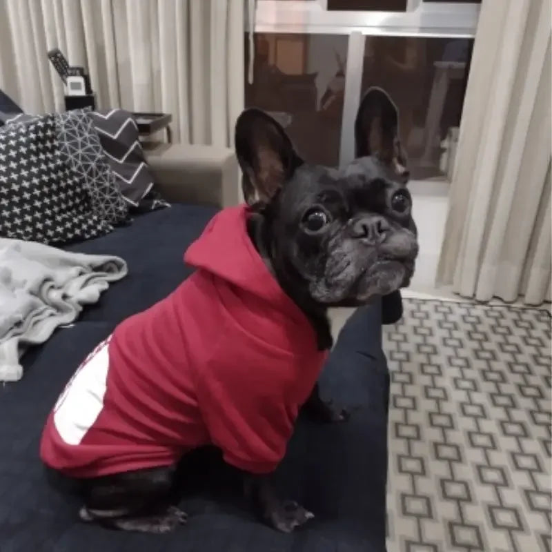 Fashion Dog Hoodie