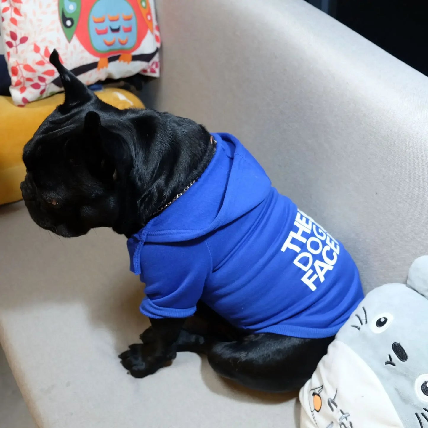 Fashion Dog Hoodie