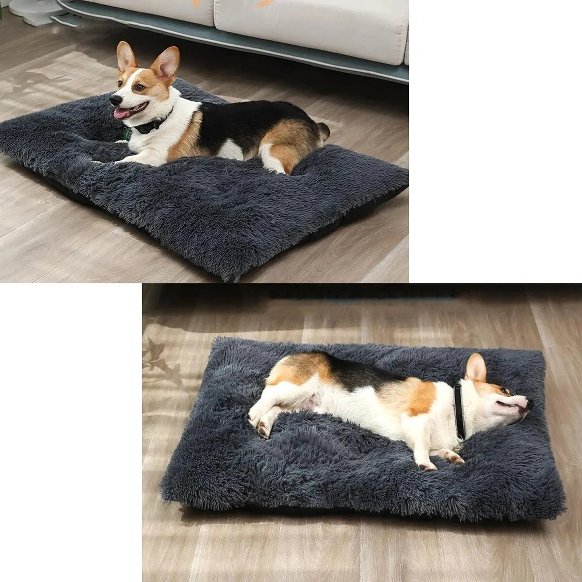 PETS  Bed