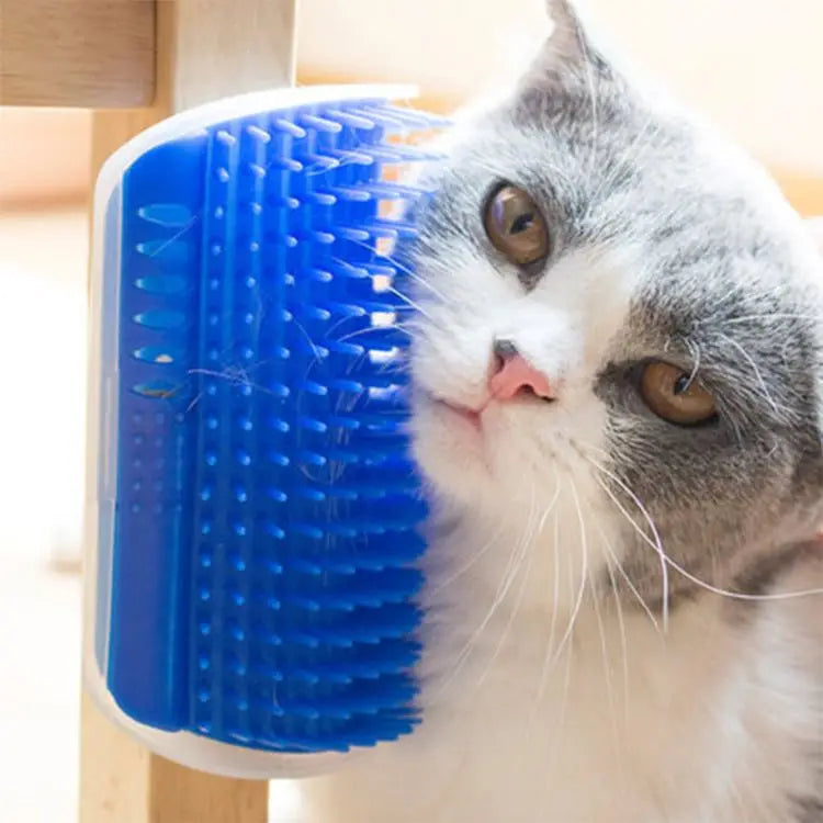 Massage Pet Brush