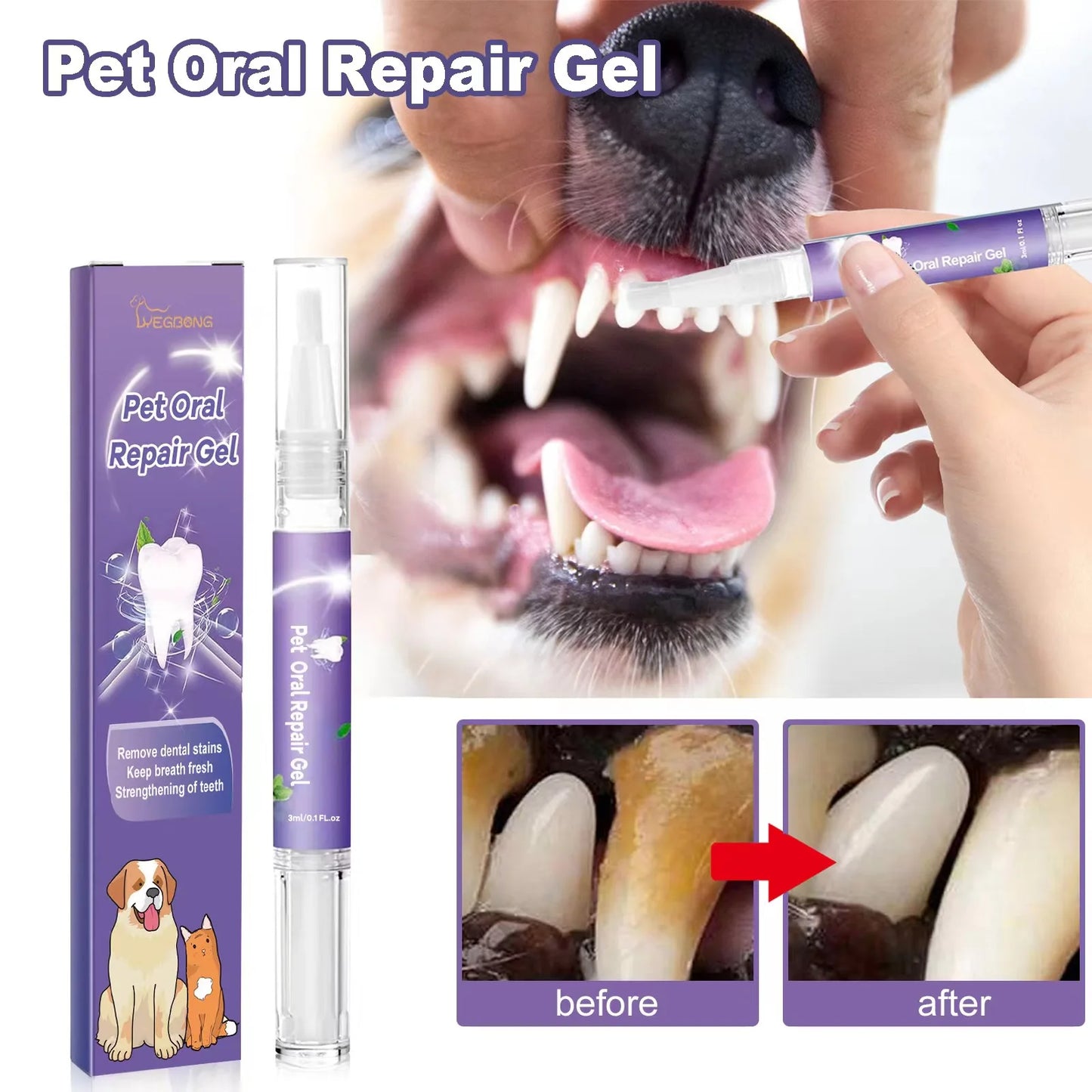 Pet teeth cleaning Tooth