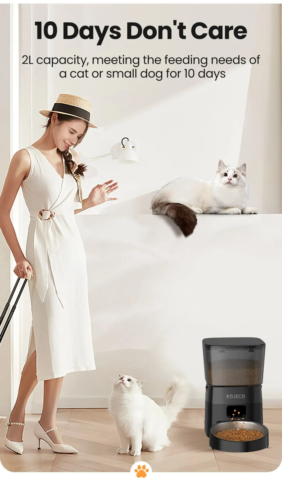 Smart Control Pet Feeder For Cats Dog Dry Food