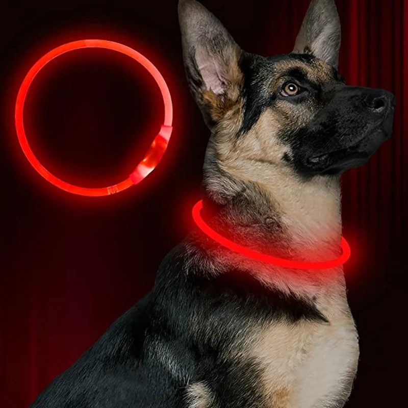 led dog