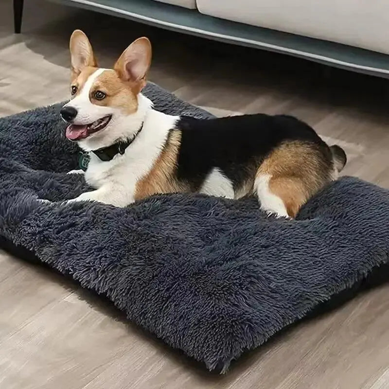 PETS  Bed