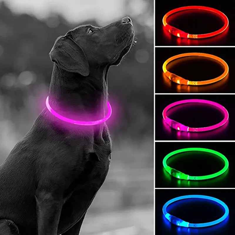 led dog