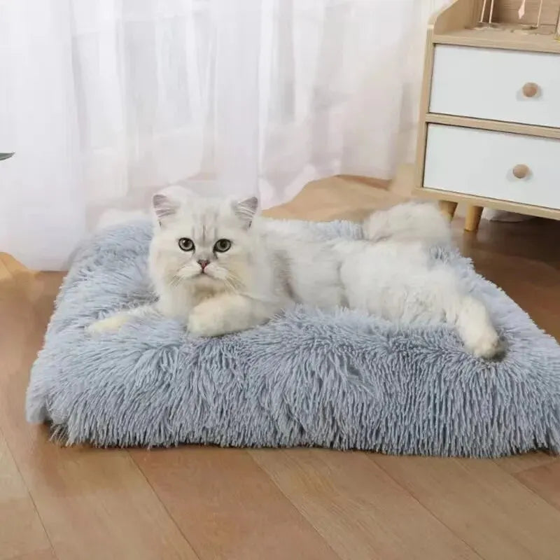 PETS  Bed