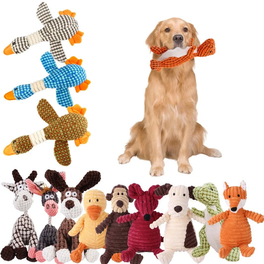 pets toys