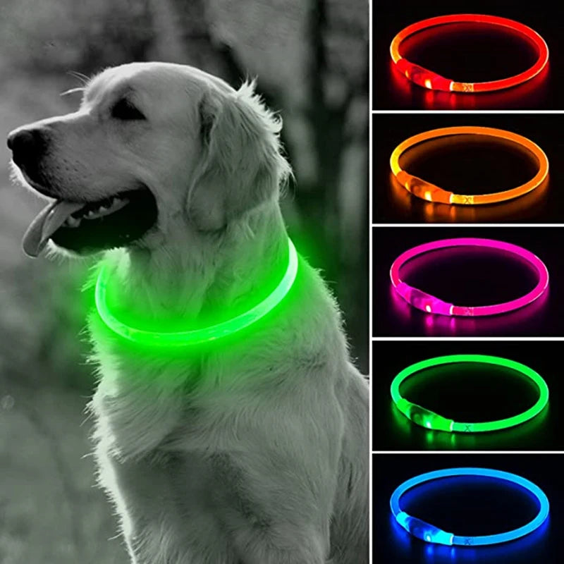 led dog