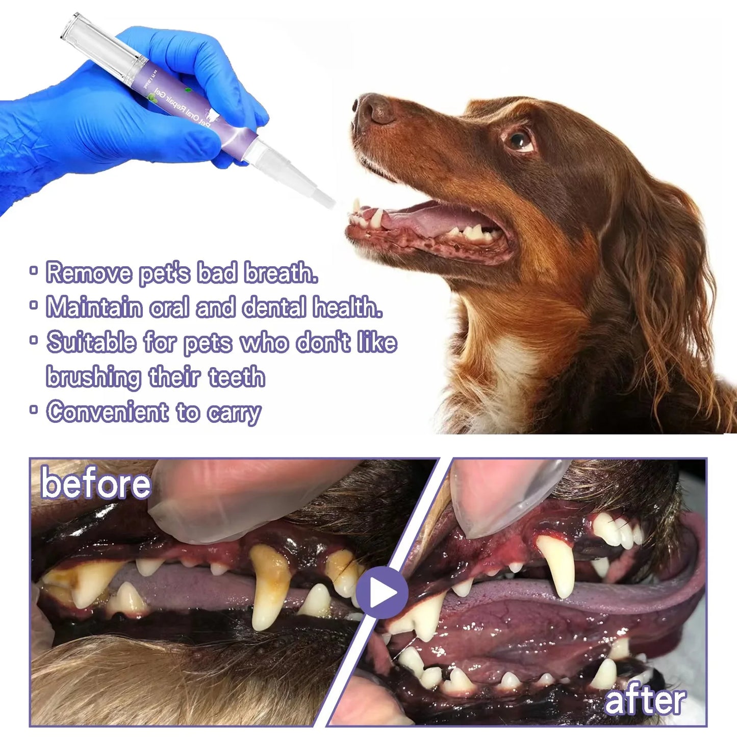 Pet teeth cleaning Tooth