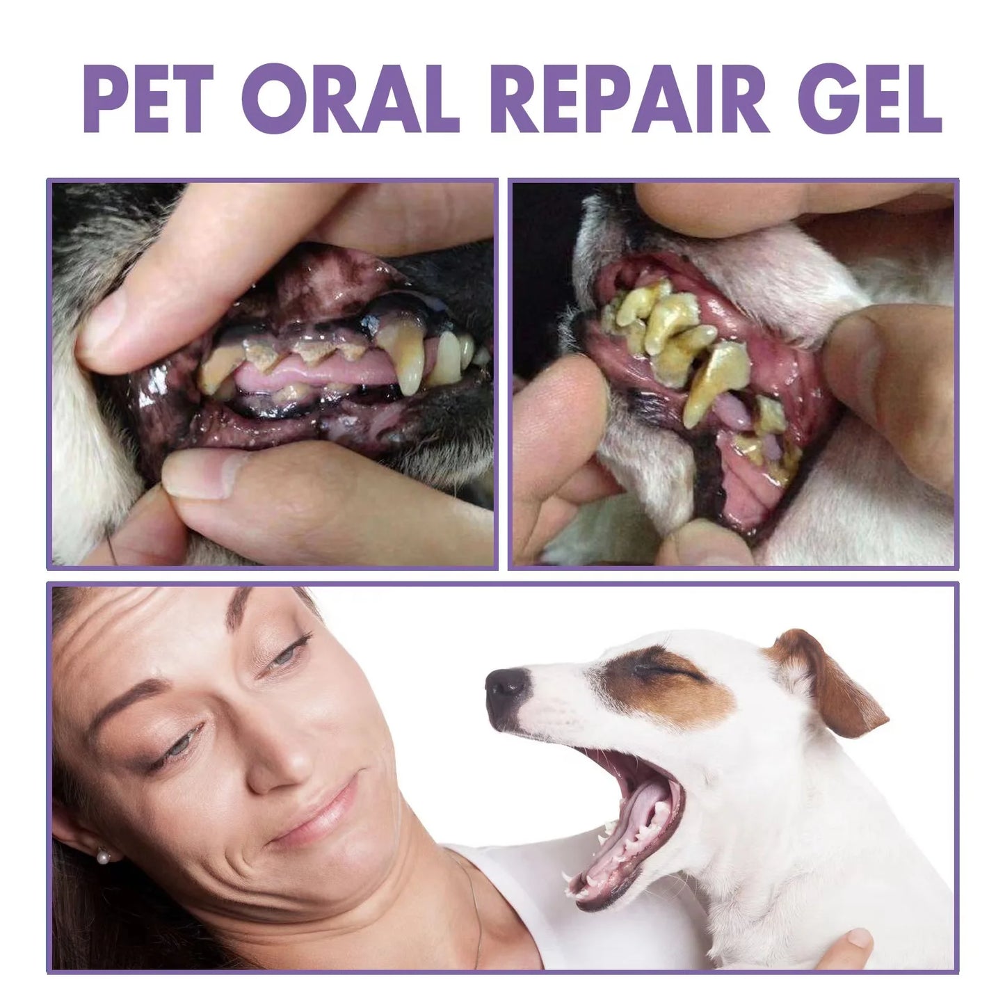 Pet teeth cleaning Tooth