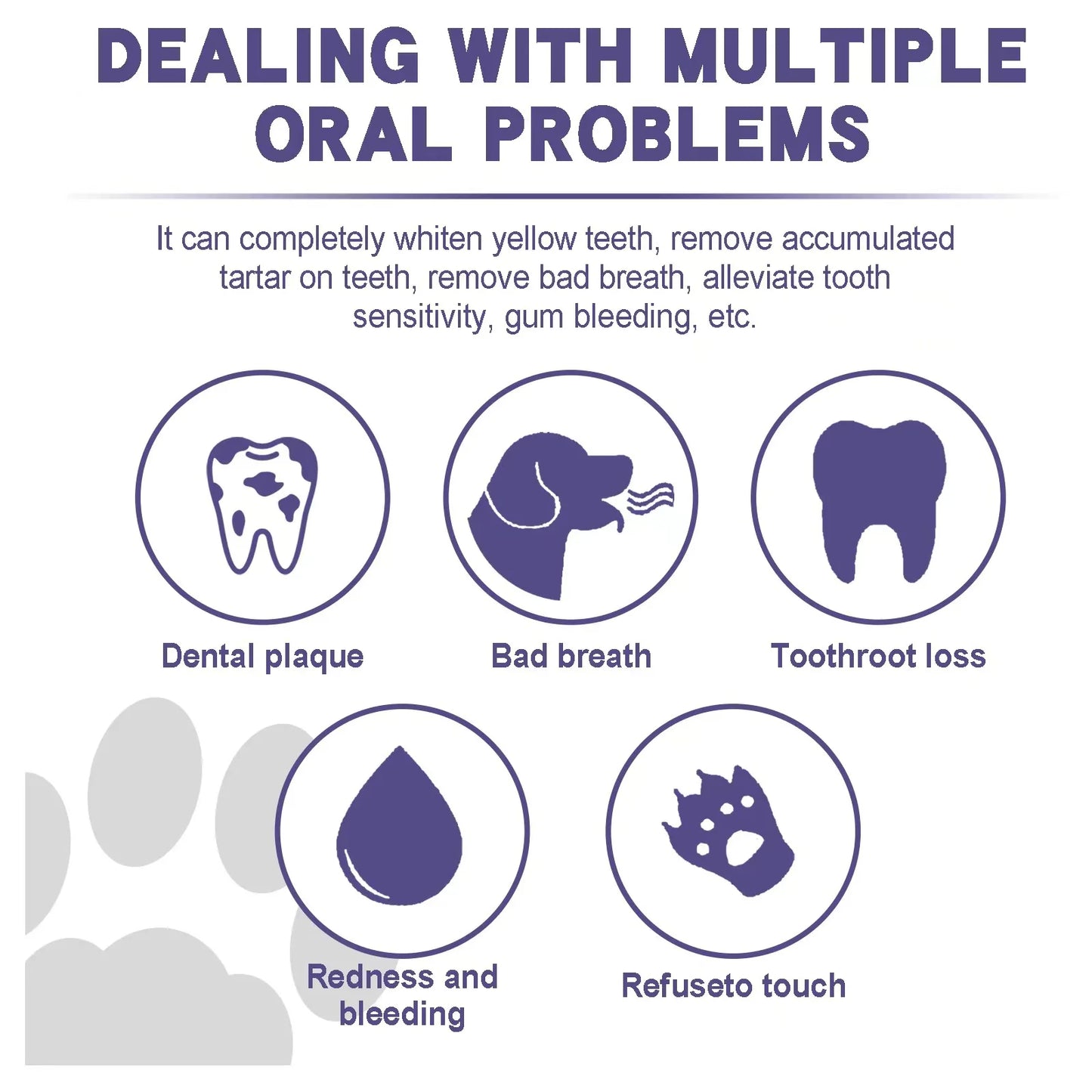 Pet teeth cleaning Tooth