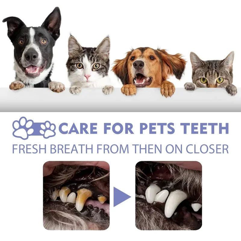 pets teeth cleaning spray to remove tooth stains